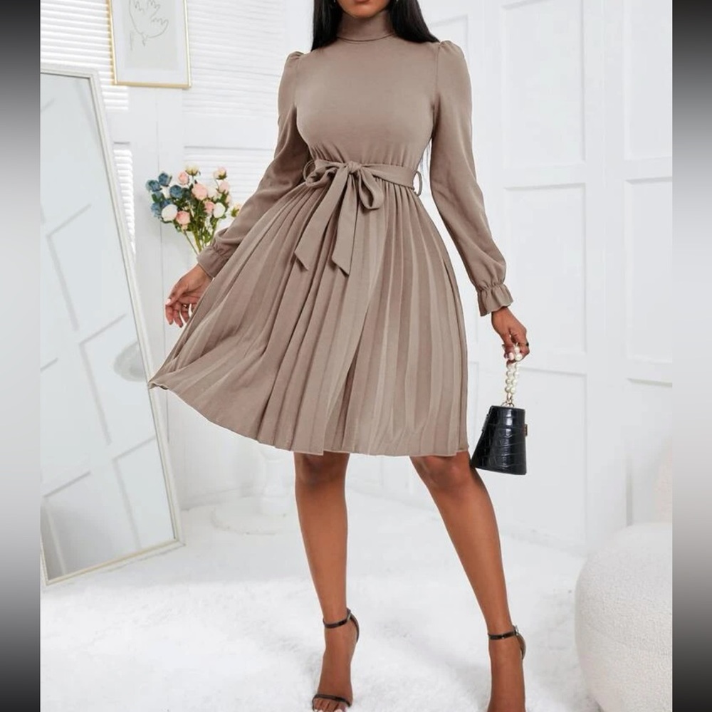 Luxe turtleneck flounce sleeve pleated dress